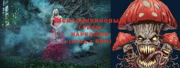 метамфетамин Богданович