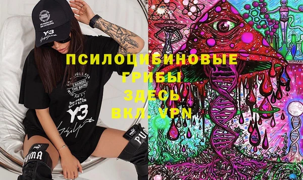 метамфетамин Богданович
